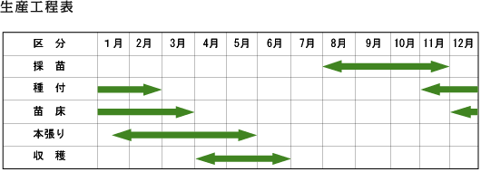 もずく養殖の流れ